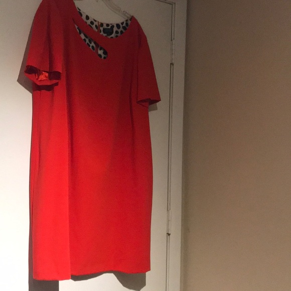 Tahari Orange Dress with Cutout - Picture 5 of 9